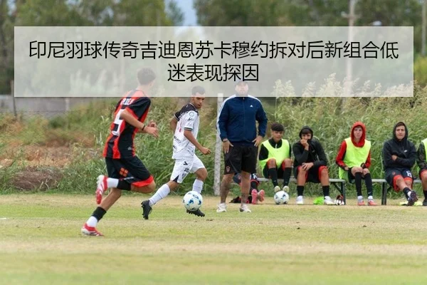 印尼羽球传奇吉迪恩苏卡穆约拆对后新组合低迷表现探因
